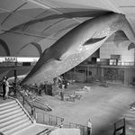 "Museum staff viewing suspended Whale model, Hall of Ocean Life, 1969"